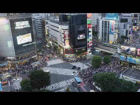 Shibuya Crossing Timelapse