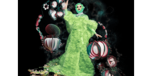 Björk Fossora Album Art